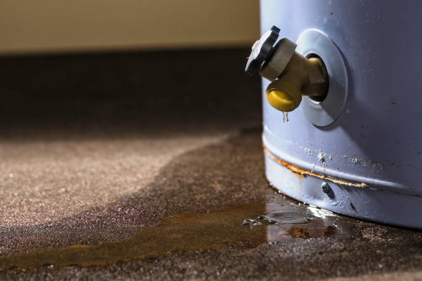 Best Residential water damage restoration  in , DE