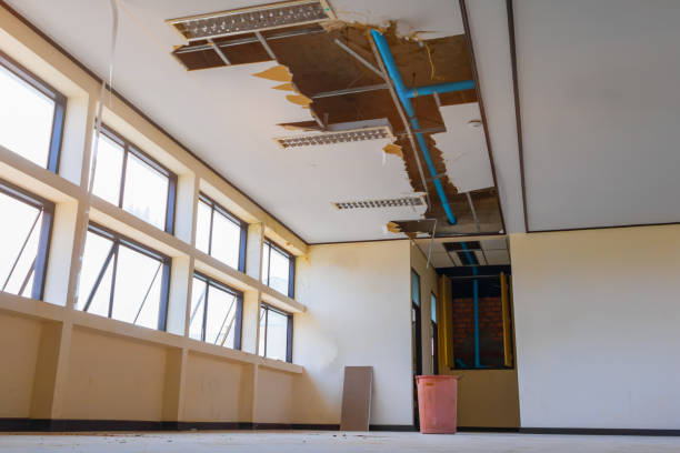  , DE Water damage restoration Pros