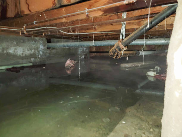 Best Ceiling water damage repair  in , DE