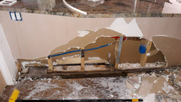 Best 24/7 water damage repair  in , DE