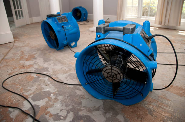 Best Sewage cleanup and water damage restoration  in , DE