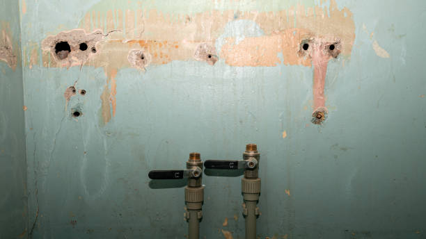 Best Water damage cleanup near me  in , DE