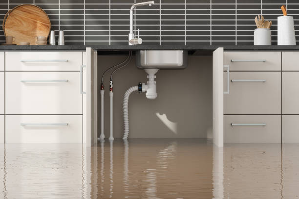 Best Water damage restoration near me  in , DE