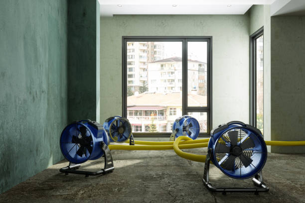Best Local water damage restoration  in , DE