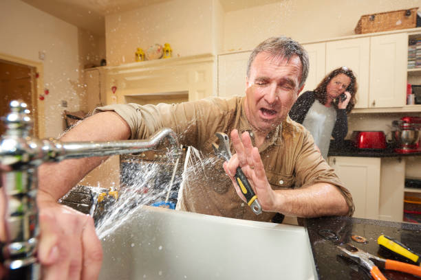 Best Mold removal after water damage  in , DE